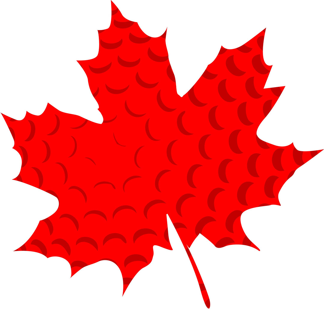 Welcome to the 36 A Day Golf Co Blog